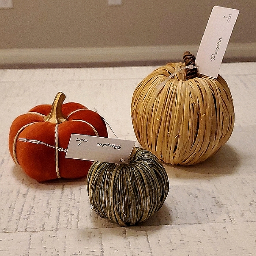 BRAND NEW Targets Bullseye Pumpkin Set!